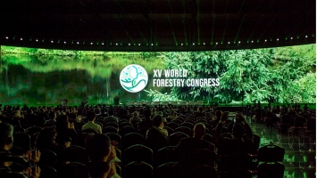 Newly adopted Seoul Forest Declaration identifies priority action areas